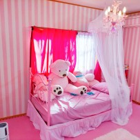 Pink Room 全体図2021.2