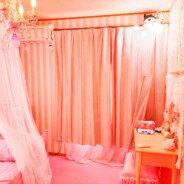 Pink Room 全体図2021.2